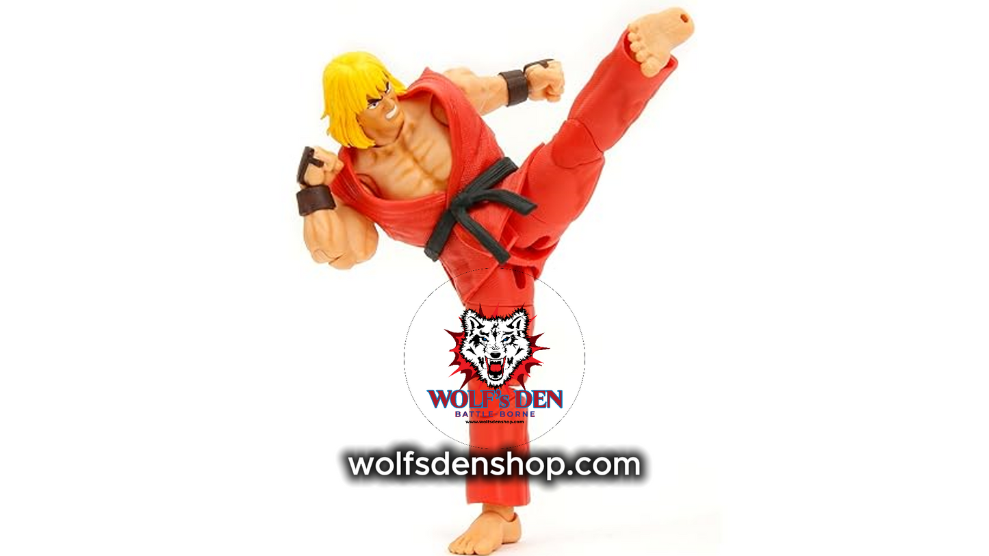 Ryu and Ken Street Fighter Action Figures