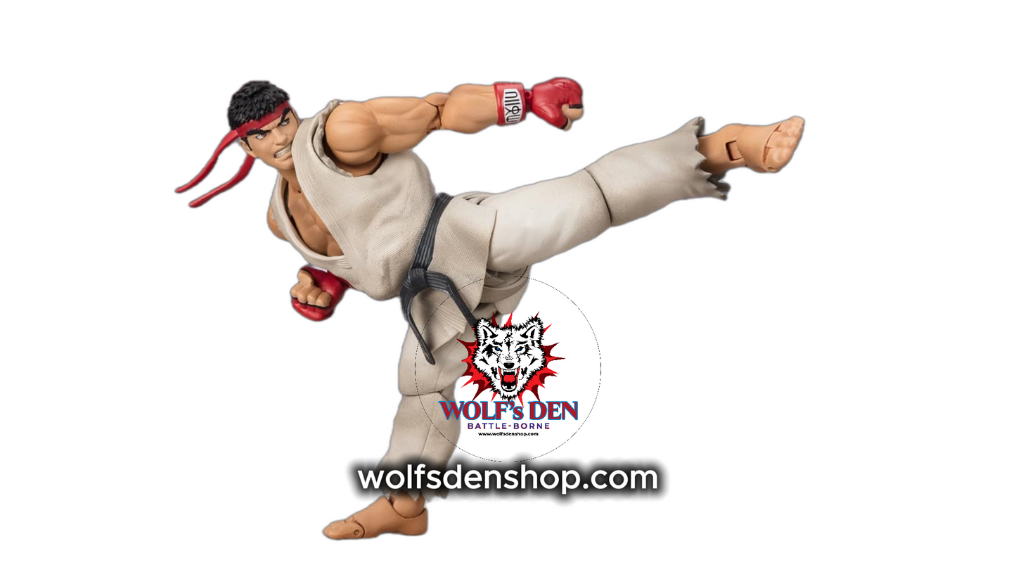Ryu and Ken Street Fighter Action Figures