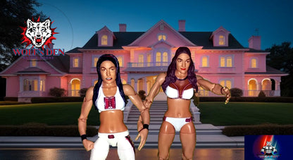 The Bella Twins Nikki and Brie Featuring Daniel Bryan