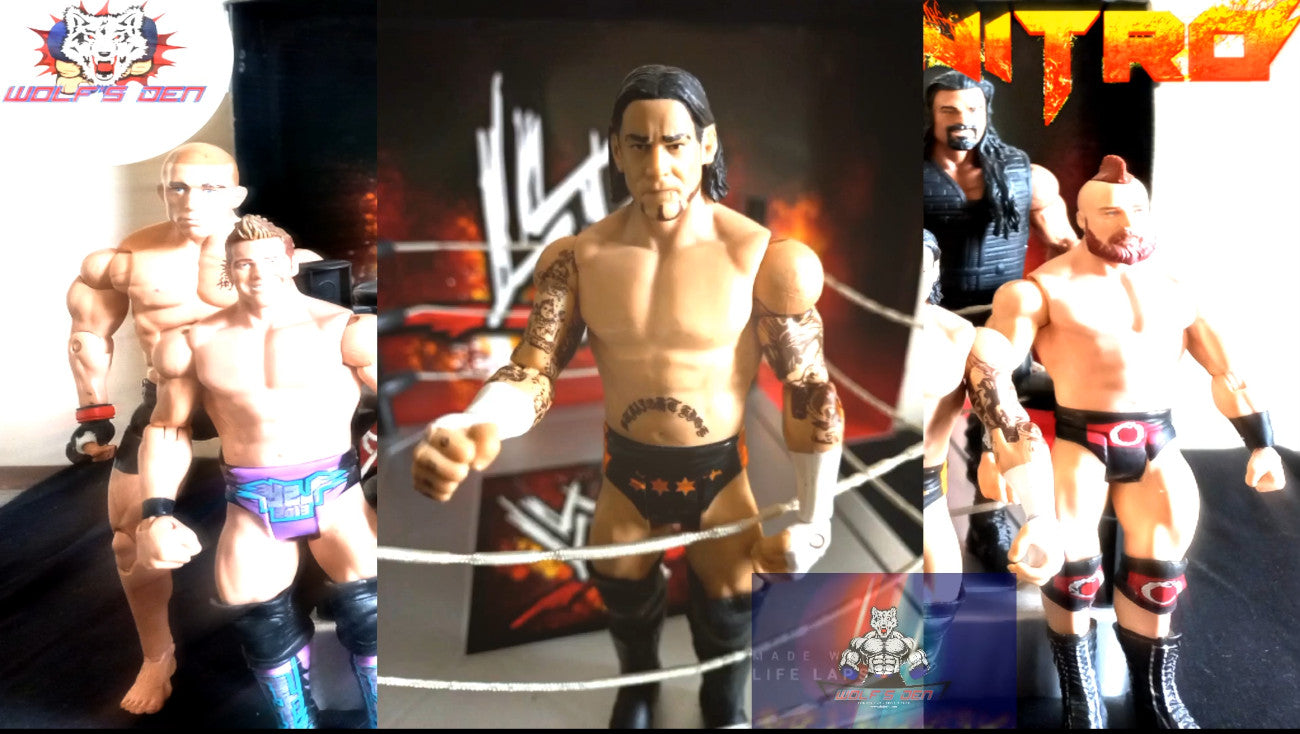 WWE, AEW, and UFC Action Figures Nitro Pack: CM Punk, Alexa Bliss, Shield Roman Reins, Young HHH, GSP, Chris Jericho, Ultimate Warrior, Sheamus, Big Show and Alberto Del Rio Action Figures