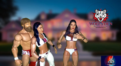 The Bella Twins Nikki and Brie Featuring Daniel Bryan