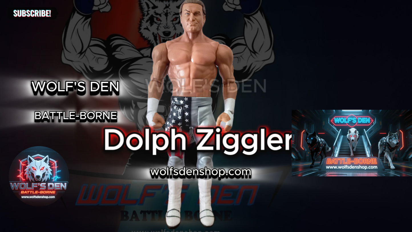 Pro Wrestling Library – The Ultimate WWE Superstar DLC!