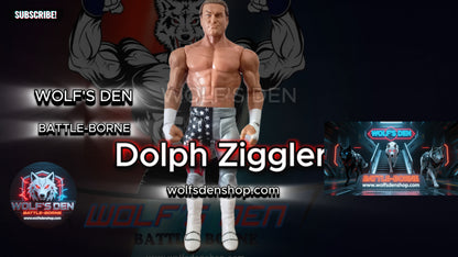 Pro Wrestling Library – The Ultimate WWE Superstar DLC!