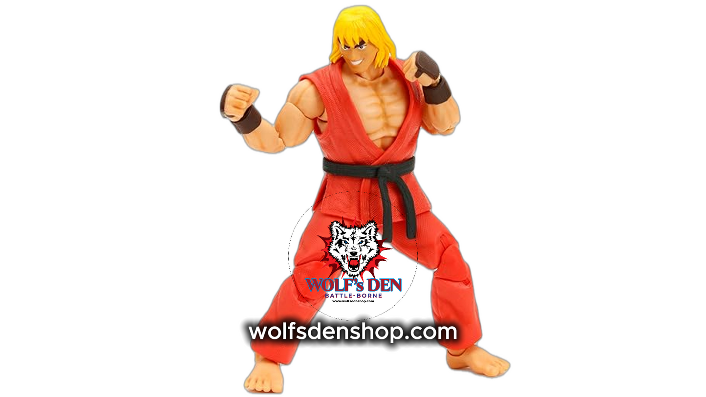 Ryu and Ken Street Fighter Action Figures