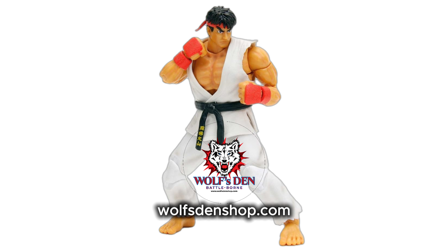Ryu and Ken Street Fighter Action Figures