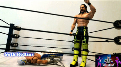Seth Rollins Wrestling Action Figure