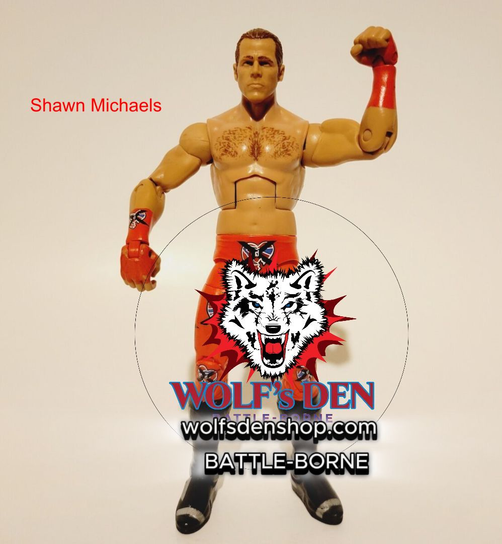 Pro Wrestling Library – The Ultimate WWE Superstar DLC!