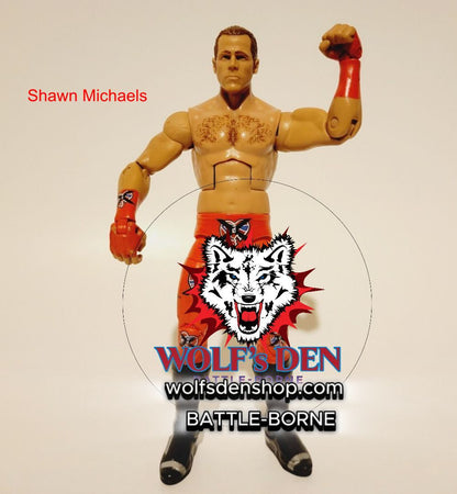 Pro Wrestling Library – The Ultimate WWE Superstar DLC!