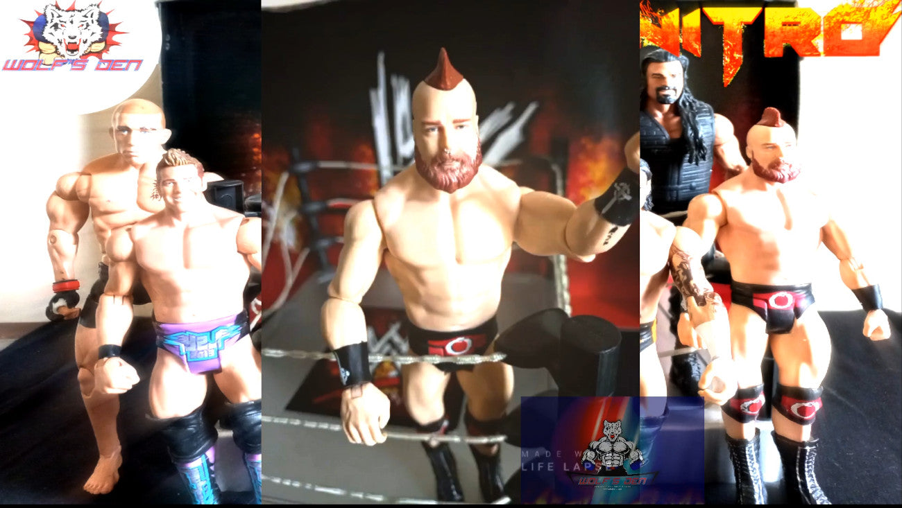 WWE, AEW, and UFC Action Figures Nitro Pack: CM Punk, Alexa Bliss, Shield Roman Reins, Young HHH, GSP, Chris Jericho, Ultimate Warrior, Sheamus, Big Show and Alberto Del Rio Action Figures
