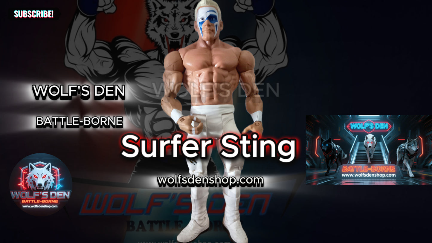 Pro Wrestling Library – The Ultimate WWE Superstar DLC!