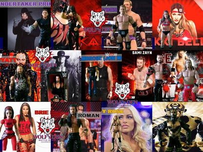 Wolf's Den WWE Wrestling Superstars — Collector's Action Figure Series