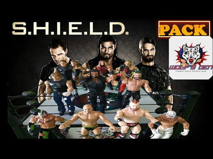 The Shield Pack Pro Wrestling AEW and WWE Action Figures The Shield Seth Rollins Dean Ambrose Roma Reigns Jeff Hardy Rey Mysterio Undertaker Kane